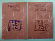 ���_����